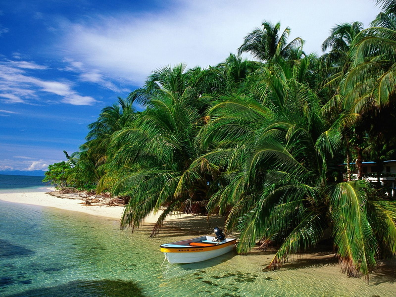 Boat, 720P, Coconut, palm, green, Trees, Beach