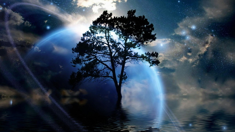 pine tree, environment, moonlight, sky, reflection, stars, fantasy art, forest, digital art, ringed planet, planetary ring, lonely tree, phenomenon, lone tree