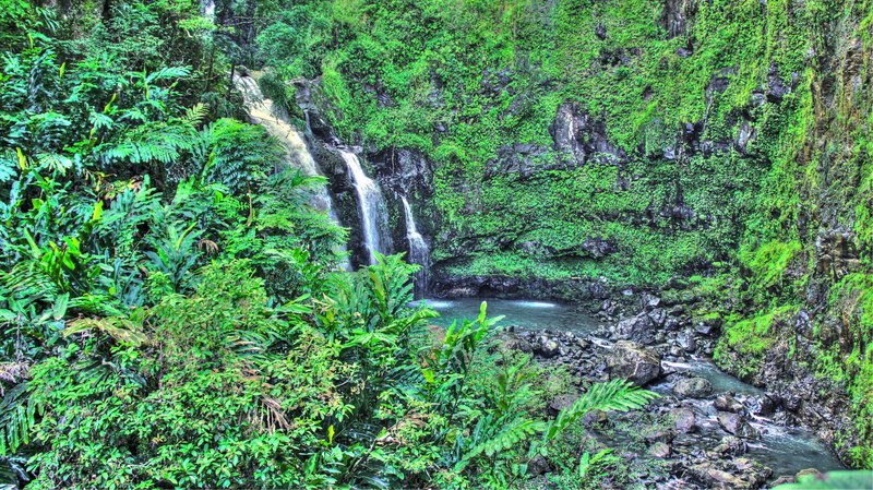 beach, waterfall, Maui, 4K, isle of Maui, tropical forest, palm trees, tropical water, Hawaii
