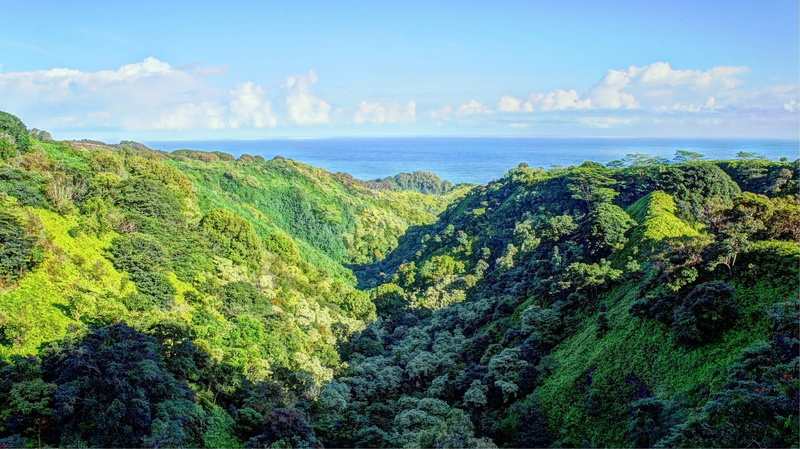 cloud - sky, no people, growth, horizon, tropical forest, day, waterfall, blue, tranquility, Hawaii, scenics - nature, tropical water, tranquil scene, land