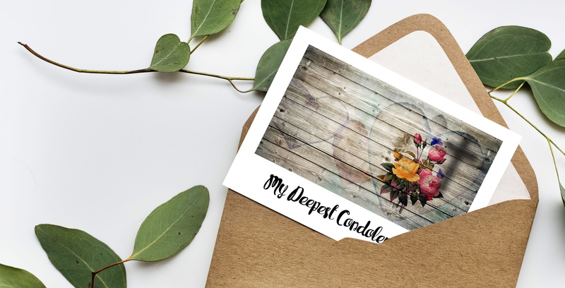 high angle view, flowering plant, green color, indoors, letters, wood - material, flower, trauerkarte, die, potted plant, plant, 4K, western script, leaves