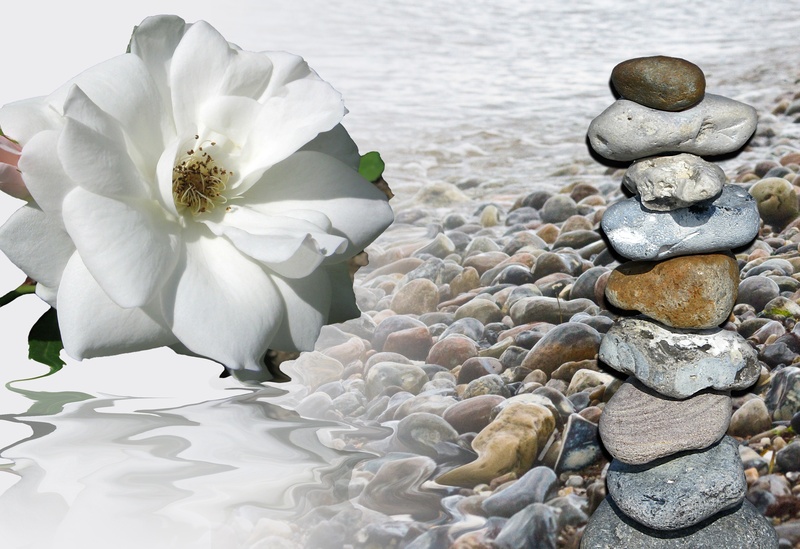 force, pebbles, close-up, stones, purity, plant, 2K, nature, no people, petal, consolation, white, wide, beside, flower, layered, time, flowering plant