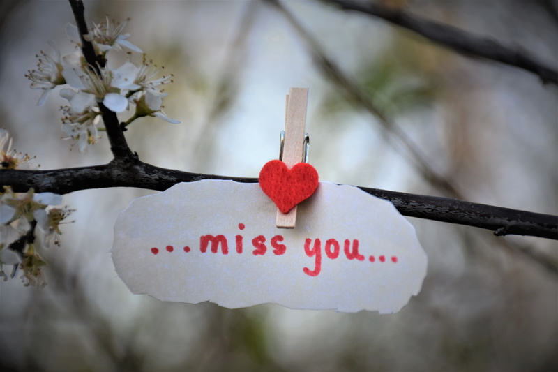 loving memory, winter, no people, communication, focus on foreground, spring, outdoors, valentines day - holiday, plant, close-up, red heart, railway, branch