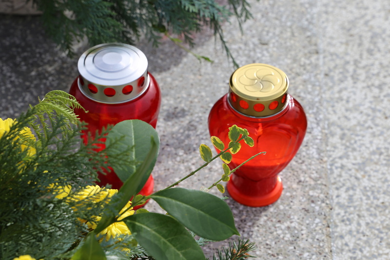 group of objects, metal, plant part, no people, close-up, nature, high angle view, gardening, red candles, plant, condolence, flowering plant, red, 5K