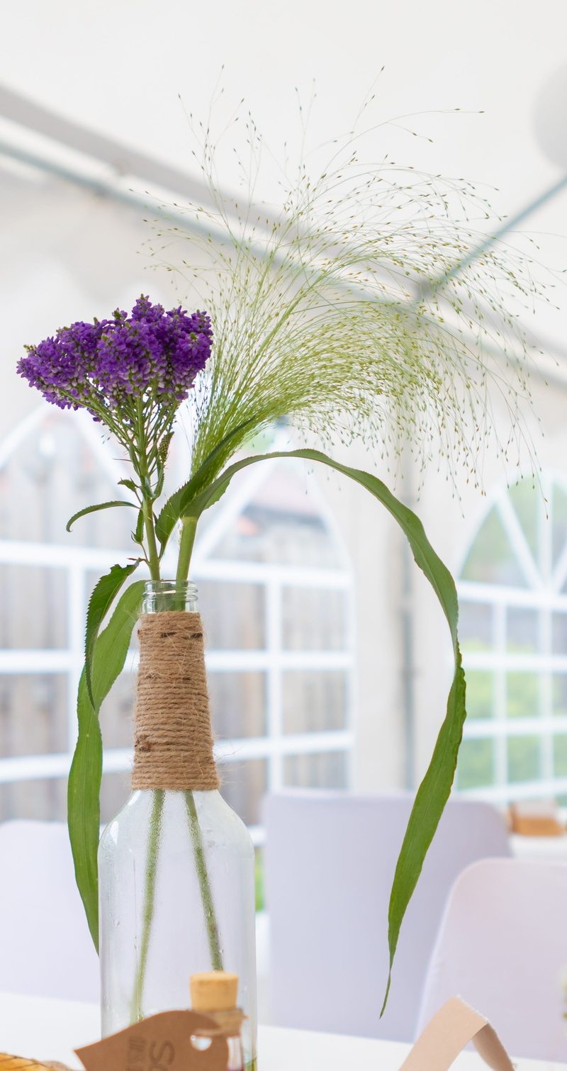 gold, flowering plant, nature, indoors, fragility, pattern, invitation, postcard, wedding, purple, empty, flower, decoration, vulnerability, home interior