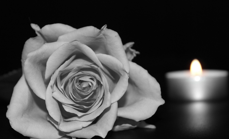 4K, rose - flower, burning, no people, consolation, plant, tealight, black and white, valentines day - holiday, nature, photography, flame, flower head