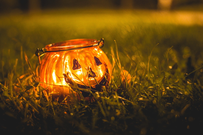outdoors, illuminated, no people, plant, 4K, pumpkins, lighting Equipment, candle, single object, field, growth, close-up, happy halloween, Grass, ground