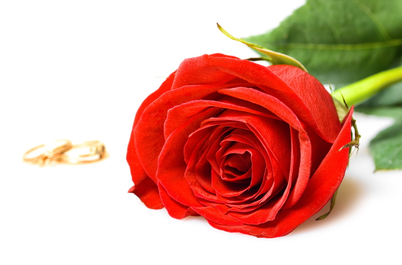 softness, flores, jewel, shiny, spring, concept, engagement, valentines day - holiday, object, gold, indoors, marry, holiday, golden, floral, anniversary