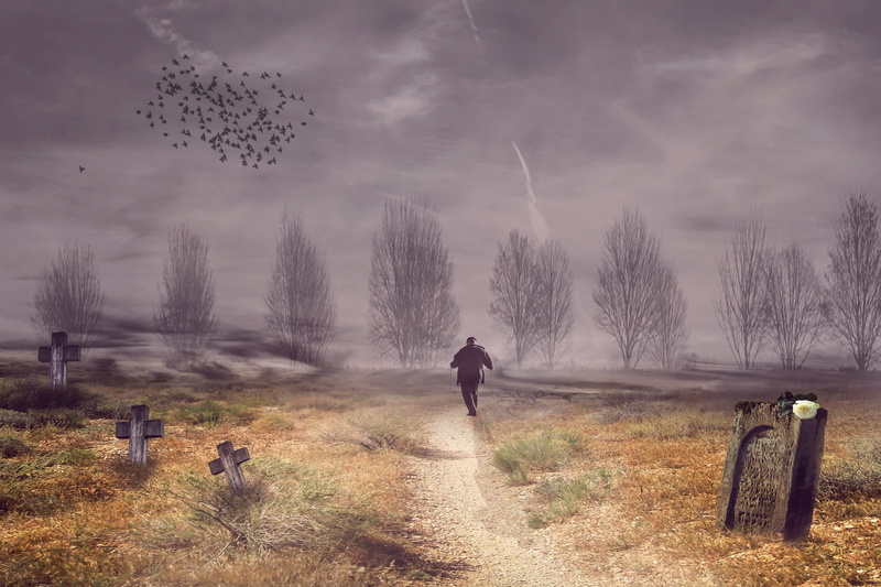 cloud - sky, silent, tombstone, lifestyles, man, tranquil scene, crosses, death, men, land, birds, mourning, tomb, rear view, miss, resting place, tranquility