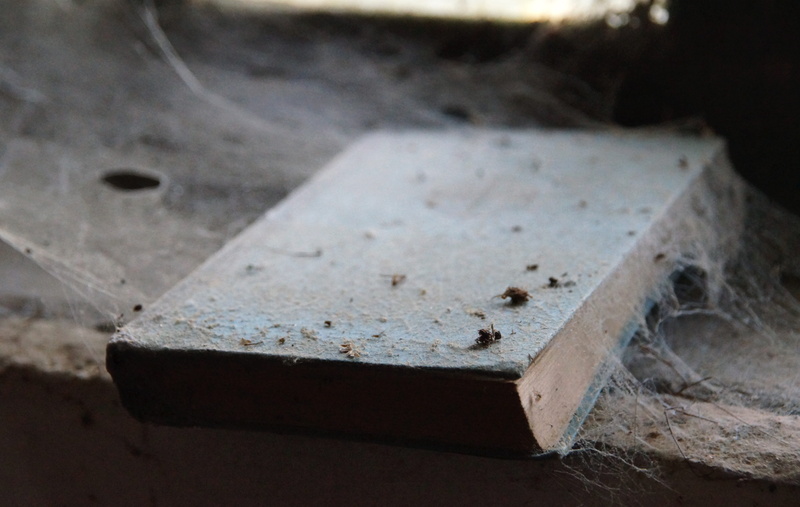 break up, dusty, network, dawdle, gloomy, decay, learn, miss, age ham, study, sad, lost, metal industry, hardbound, literature, cobweb, craft, 4K, thoughtful