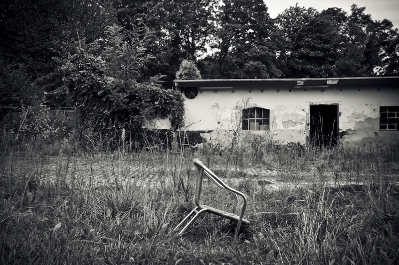 field, obsolete, grass, barn, old building, tree, no People, gloomy, lost places, transience, Lost, growth, plant, mysterious, scale, weird, atmosphere