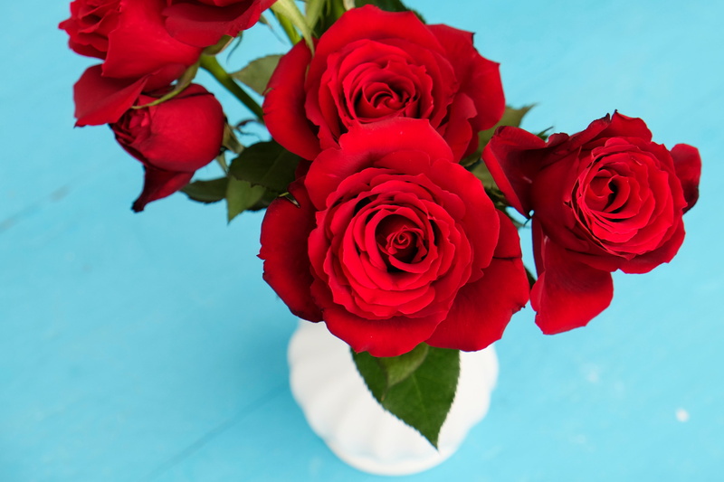 beauty in nature, inflorescence, red, outdoors, bouquet, vulnerability, rose, vase, fragility, petals, blue, flower head, flower, focus, bunch of flowers