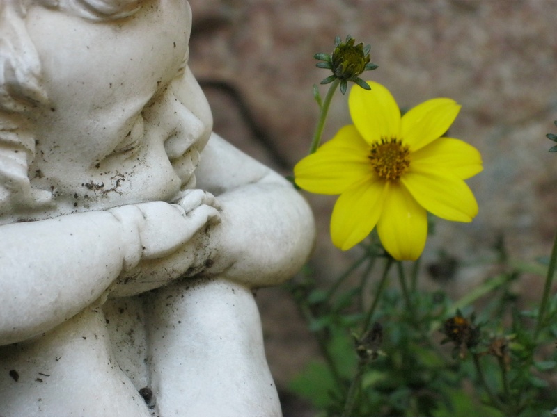 flower, stone figure, vulnerability, tombstone, art and craft, commemorate, cemetery, cherub, sculpture, growth, no people, nature, angel figure, near