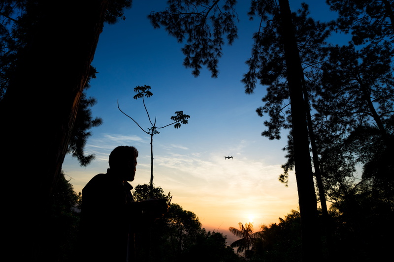camping, cloud - sky, outdoor, trees, tranquility, brunches, beauty in nature, tree, clean, sky, sunset, black, forest, scenics - nature, leafs, leisure activity