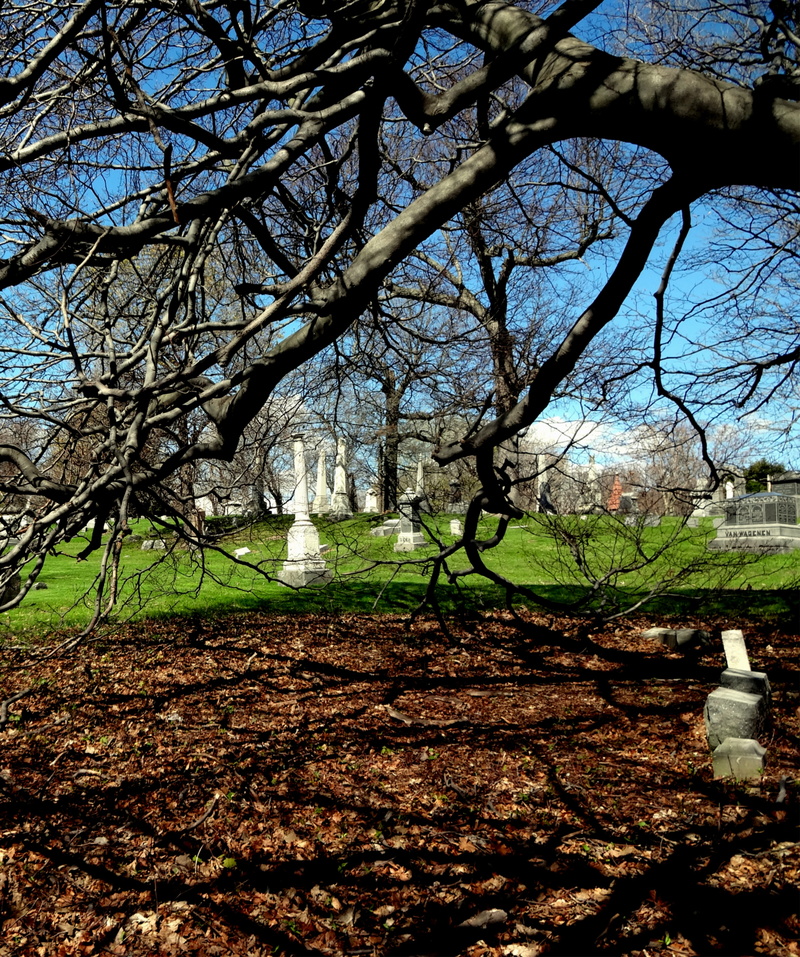 4K, trunk, landscape, bare tree, spooky, growth, marble, autumn, branches, tranquil scene, nature, outdoors, dead, spirituality, solitude, tree trunk