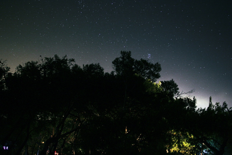 Forest, growth, idyllic, new, outdoor, tranquil scene, tranquility, cloud, space, Holiday, Stars, astrology, scenics - nature, natural, infinity, nature