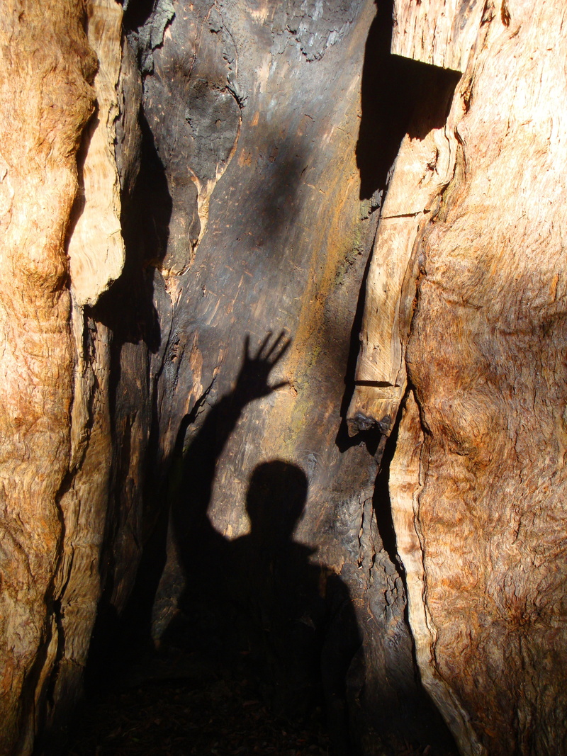 selfie, joy of life, leisure activity, no people, believe, one, solid, workshop, emotion, power, rock, rock formation, pattern, directory, holidays, feeling