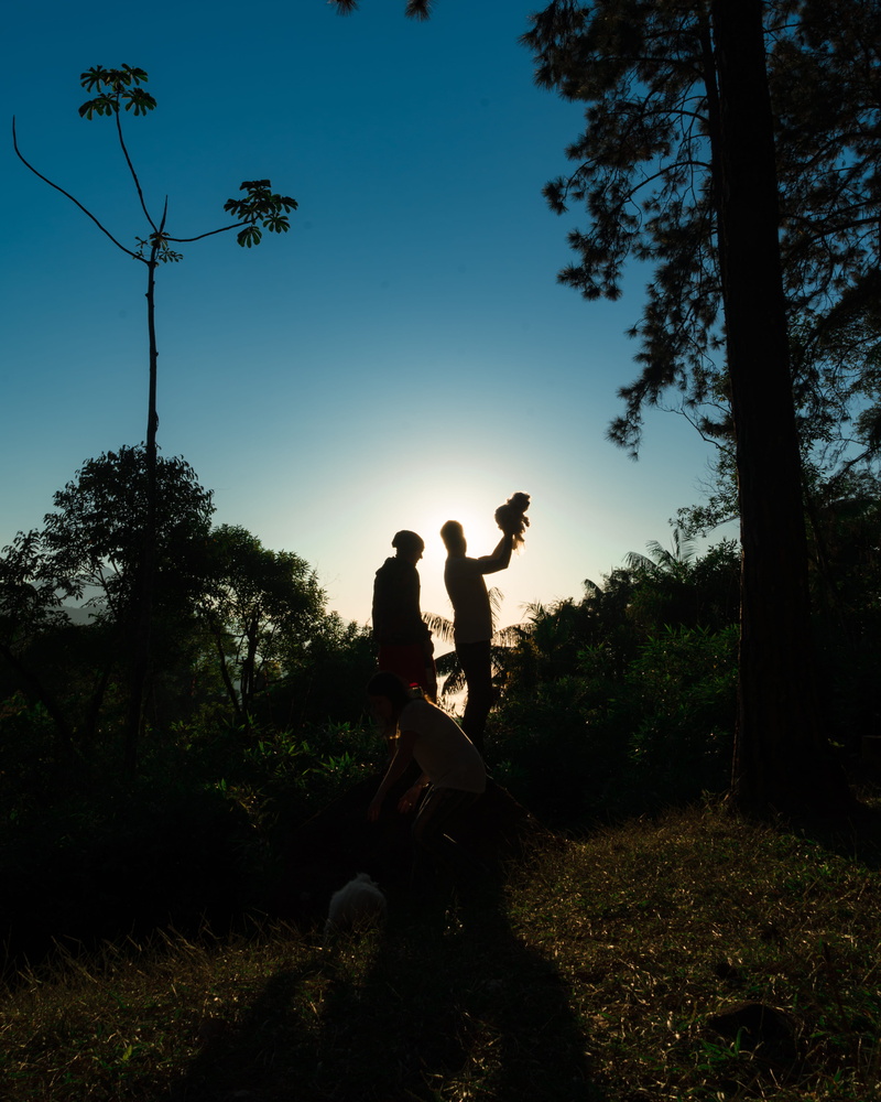 outdoor, dude, couple - relationship, full length, tree, sunrise, brazil, plant, clean, resende, men, sky, sunset, leafs, sitting, trees, two people, black