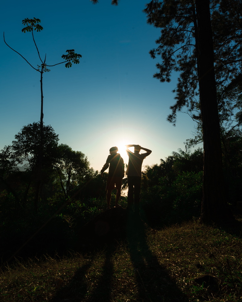positive emotion, leafs, men, blue, outdoors, two people, tree, silhouette, outdoor, bright, sunset, sunlight, trees, beauty in nature, full length, black