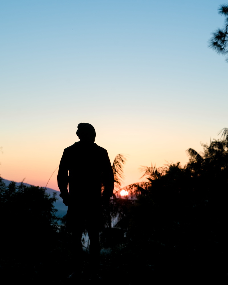 scenics - nature, boy, camping, jungle, lifestyles, plant, sunrise, tree, forest, real people, leisure activity, outdoors, clear sky, 4K, standing, sun