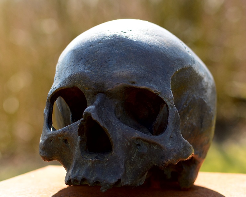 black, transience, transient, mourning, 2K, human bone, die, bone, horror, halloween, skull, mystical, human skeleton, architecture, skeleton, spooky