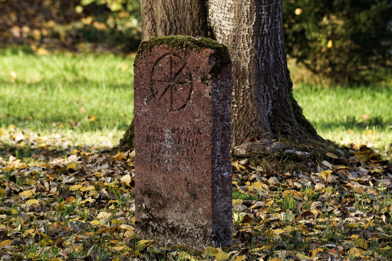 land, all saints, stone, faith, rest, funeral, death, resting place, tranquility, plant, religion, tree trunk, sculpture, bark, tree, environment, grave