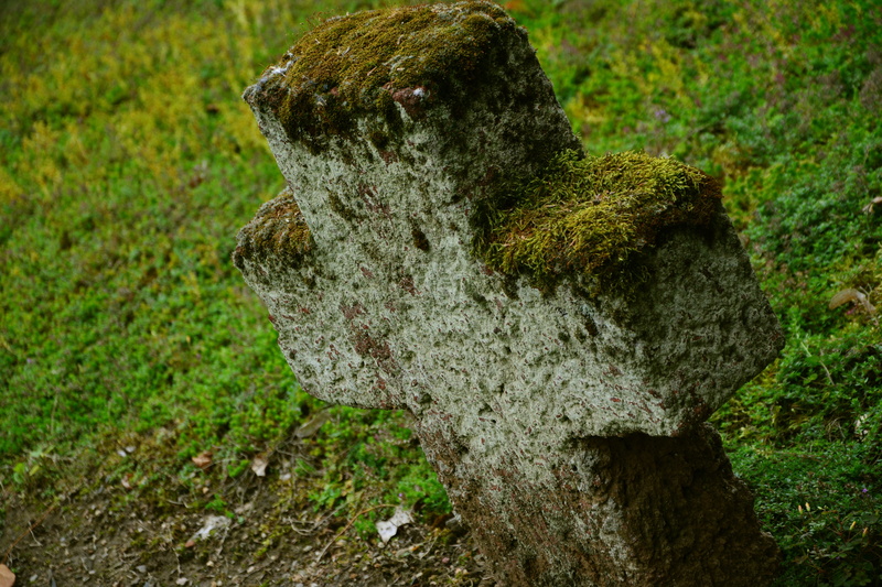 memorial stone, roof, headstone, plant, resting place, bark, mammal, outdoors, close-up, tomb, christianity, monument, green color, textured, grass, trunk