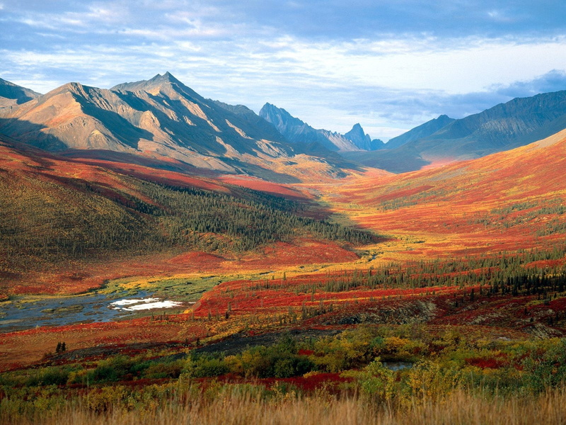 red leaves, tundra, change, fall, valley, sky, mountain range, autumn, plant part, beauty in nature, river, environment, plant, nature, no people, wilderness