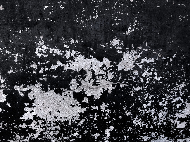 tree, day, decline, growth, abstract, unsplash awards, art, black and white, paint, outdoors, tar, pattern, lichen, rock, close-up, deterioration, creative
