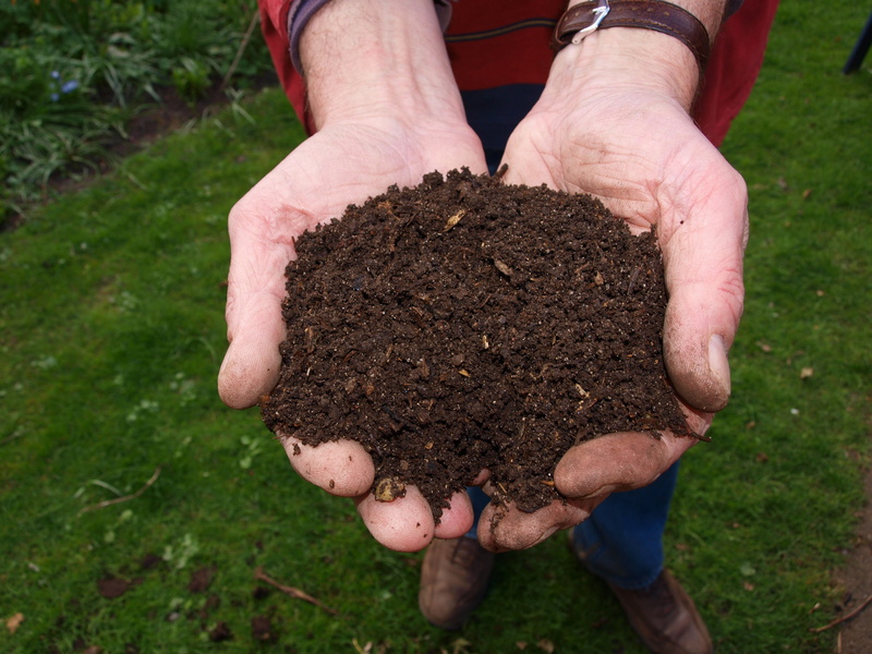 people, real people, land, dirty, high angle view, mud, plant, men, soil, dirt, human body part, nature, Fresh, planting, hands cupped, Hand, day, one person