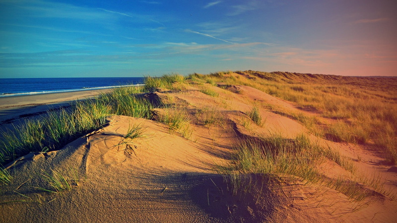 outdoor, canyon, environment, ocean, non-urban scene, sea, sahara, plant, soil, wave, landscape, arid, tranquility, sky, adventure, travel, clouds, marram grass