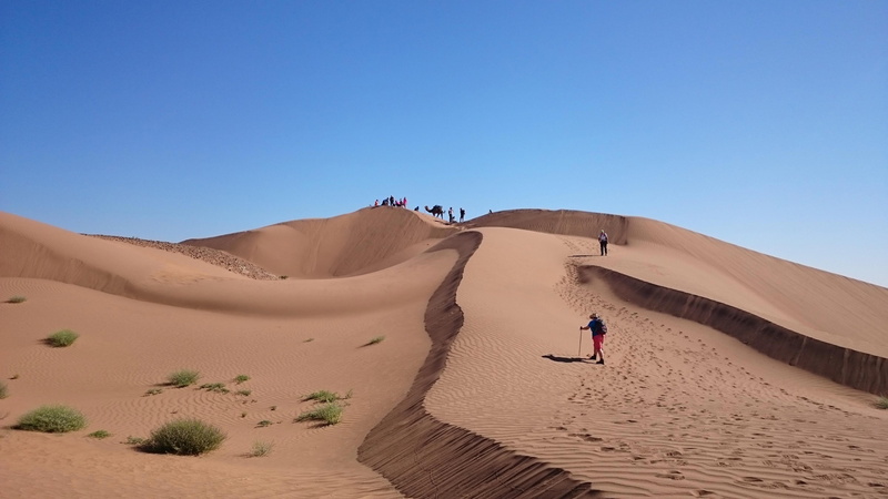 adventure, water, dry, vacation, life, tourism, sandy, earth, arid climate, terrain, soil, 4K, sky, hill, clear sky, summer, sand dune, heat, sahara, dune
