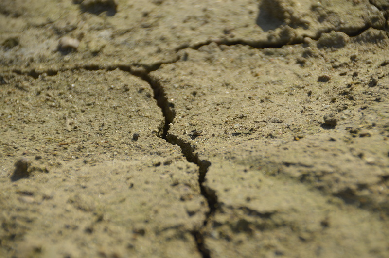 withered earth, day, close-up, high angle view, drought, Cracked, backgrounds, Dehydrated, no people, environment, Dry, nature, 5K, surface level, Ground