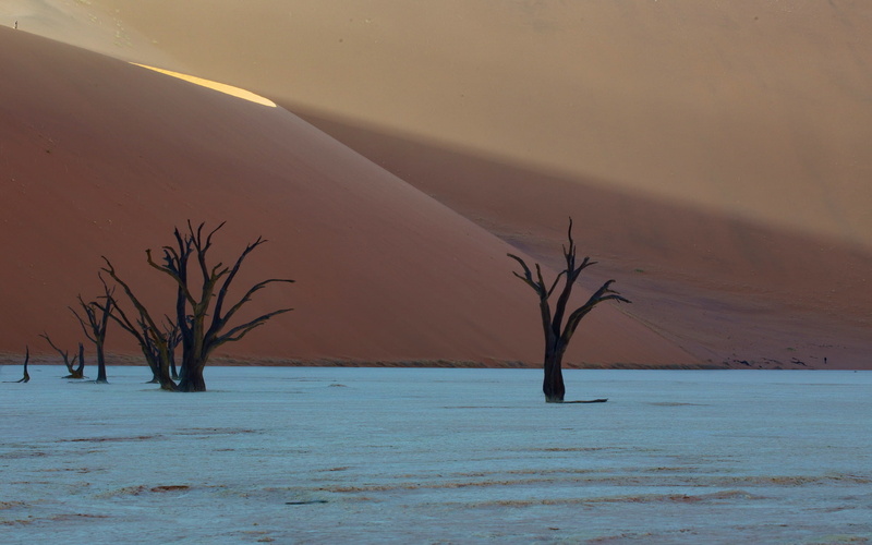 desert, Deadvlei, 1080P, dunes, africa, namibia