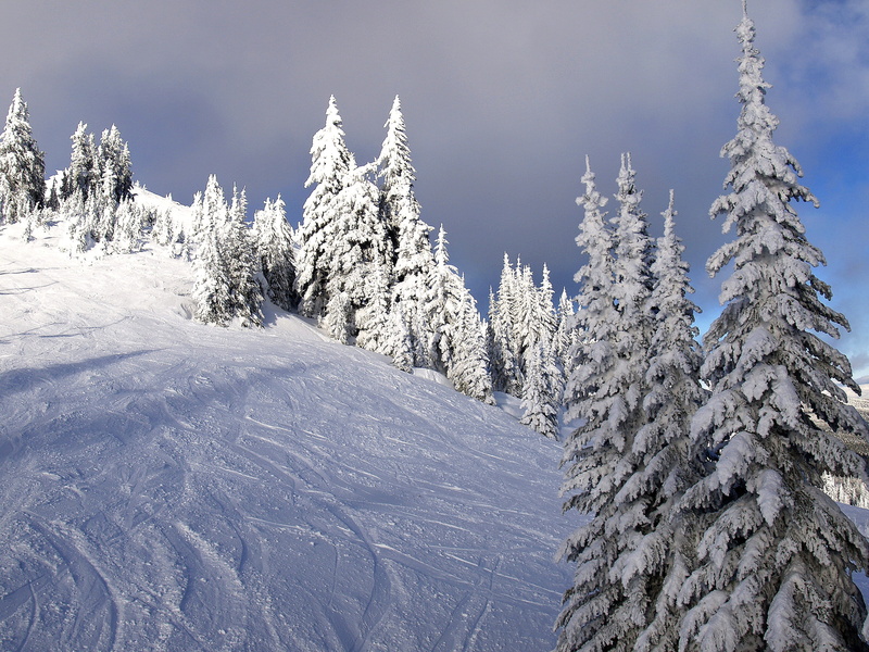 Kamloops, pinaceae, coniferous tree, activity, no people, tranquility, frozen, beauty in nature, ice, outdoor, scenics - nature, mountain peak, non-urban scene