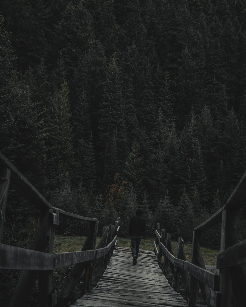 daytime, building, railing, standing, port, one person, lifestyles, built structure, land, trees, abies, walking, trans canada highway east frontage road