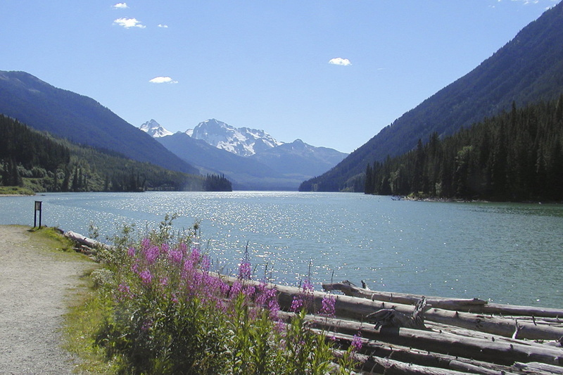 Canada, lake, 1080P, tranquil scene, scenics, tranquility, mountain, mountain view, environment, no people, British Columbia, tree, plant, beauty in nature