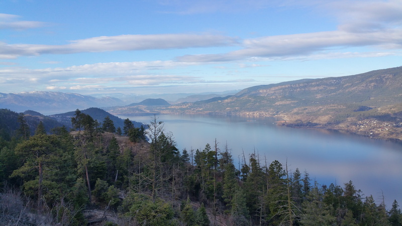 water, mountain, landscape, 5K, land, tranquility, plant, pine woodland, non-urban scene, day, no people, sky, nature, Kelowna, outdoors, coniferous tree
