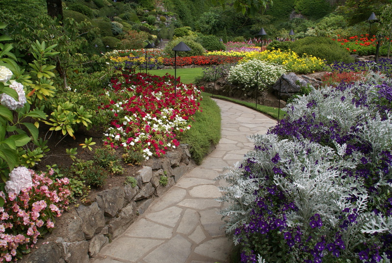 flowerbed, butchart, purple, stroll, path, victoria bc, scenic, empty, beauty in nature, walk, front or back yard, garden path, outdoors, plant, bloom