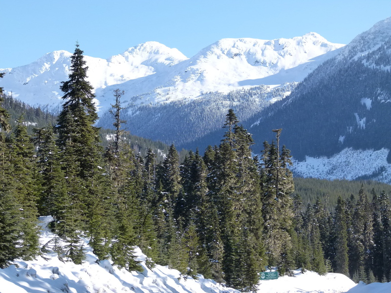 british columbia, canada, forest, no people, winter, tranquil scene, scenics - nature, snow caped, mountain, snow covered, tree, landscape, cold temperature