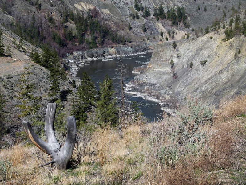 mountain, non-urban scene, land, canyon, animal themes, narrow, near lillooet, rocks, beauty in nature, nature, rock, landscape, animal wildlife, fraser river