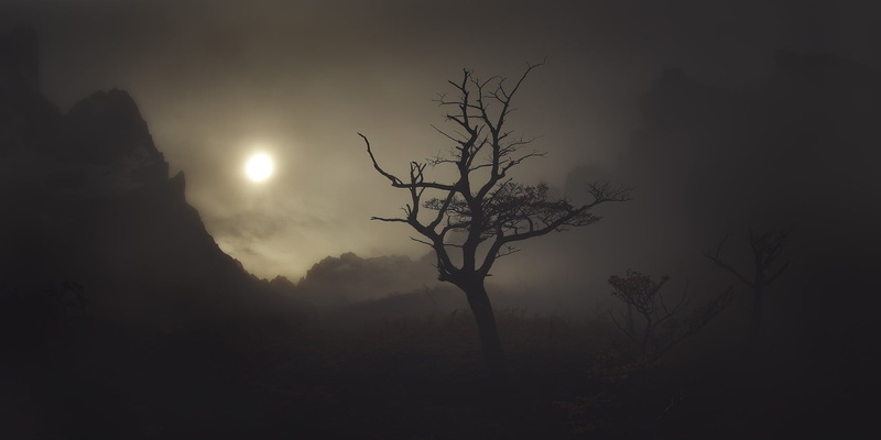non-urban scene, photography, bare tree, sky, atmosphere, dark, mist, beauty in nature, landscape, silhouette, majestic, nature, shadow, branch, Patagonia