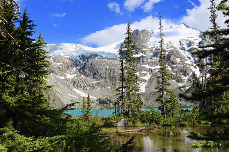 snow, 2K, pacificnorthwest, joffre lakes provincial park, tranquility, forest, explore, non-urban scene, love, canada, tranquil scene, growth, idyllic