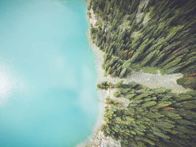 tall, drone view, water, shore, high angle view, sea, idyllic, nature, trees, aerial view, lake, topdown, green color, scenics - nature, fir, drone, outdoors