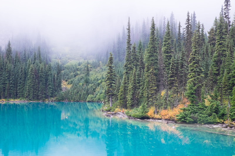 turquoise colored, mountain, british, beside, pine woodland, color Image, outdoors, reflection, green Color, plant, trees, summer, scenics, landscape, blue