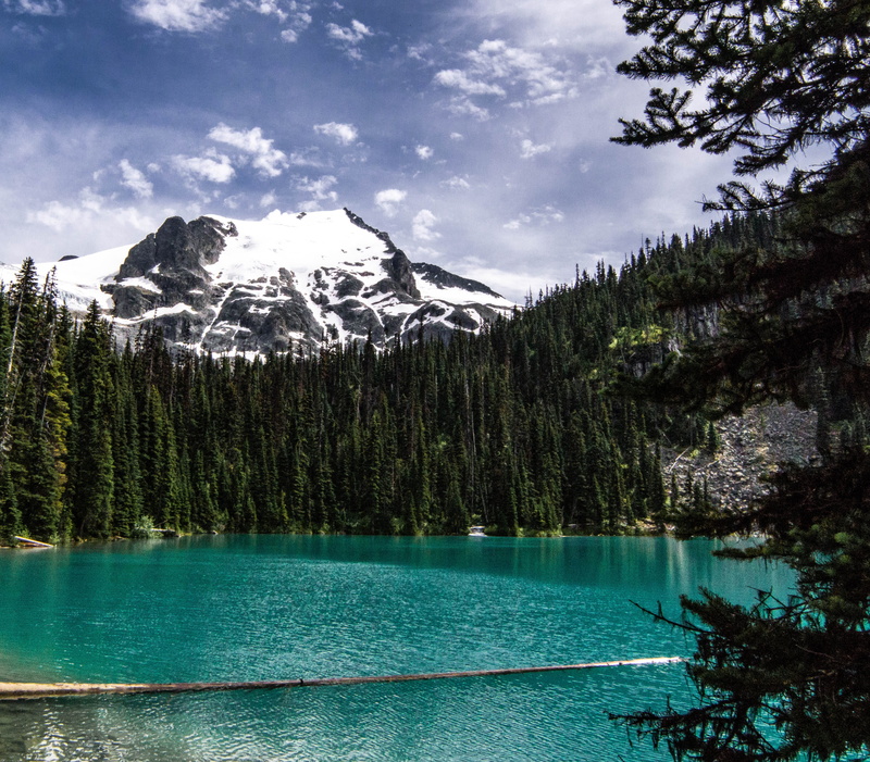 wilderness, coniferous tree, plant, glacier, joffre lakes trail, landscape, idyllic, mount currie, mood, blue, iceland, tranquility, lake, mountain, non-urban scene