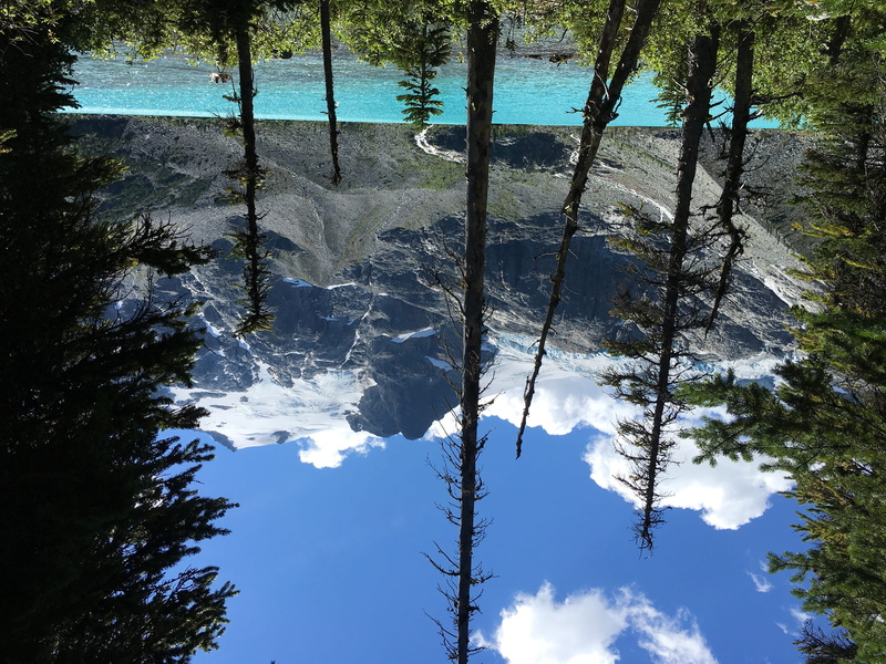 provincial park, tree, no people, reflection, day, water, british columbia, canada, joffre lakes provincial park, outdoors, beauty in nature, tree trunk