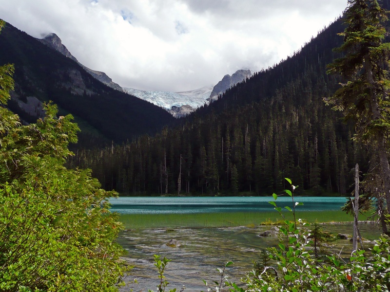 plant, flowing water, canada, beauty in nature, nature, joffre lake, tranquility, tranquil scene, day, scenics - nature, mountain range, non-urban scene