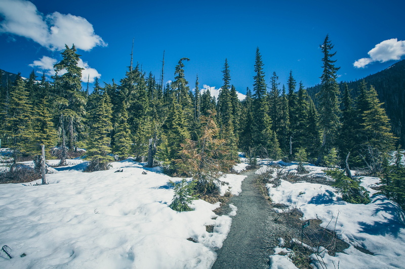beauty in nature, canada, white color, scenics - nature, mountain, day, nature, snowcapped mountain, non-urban scene, tree, tranquil scene, sky, winter
