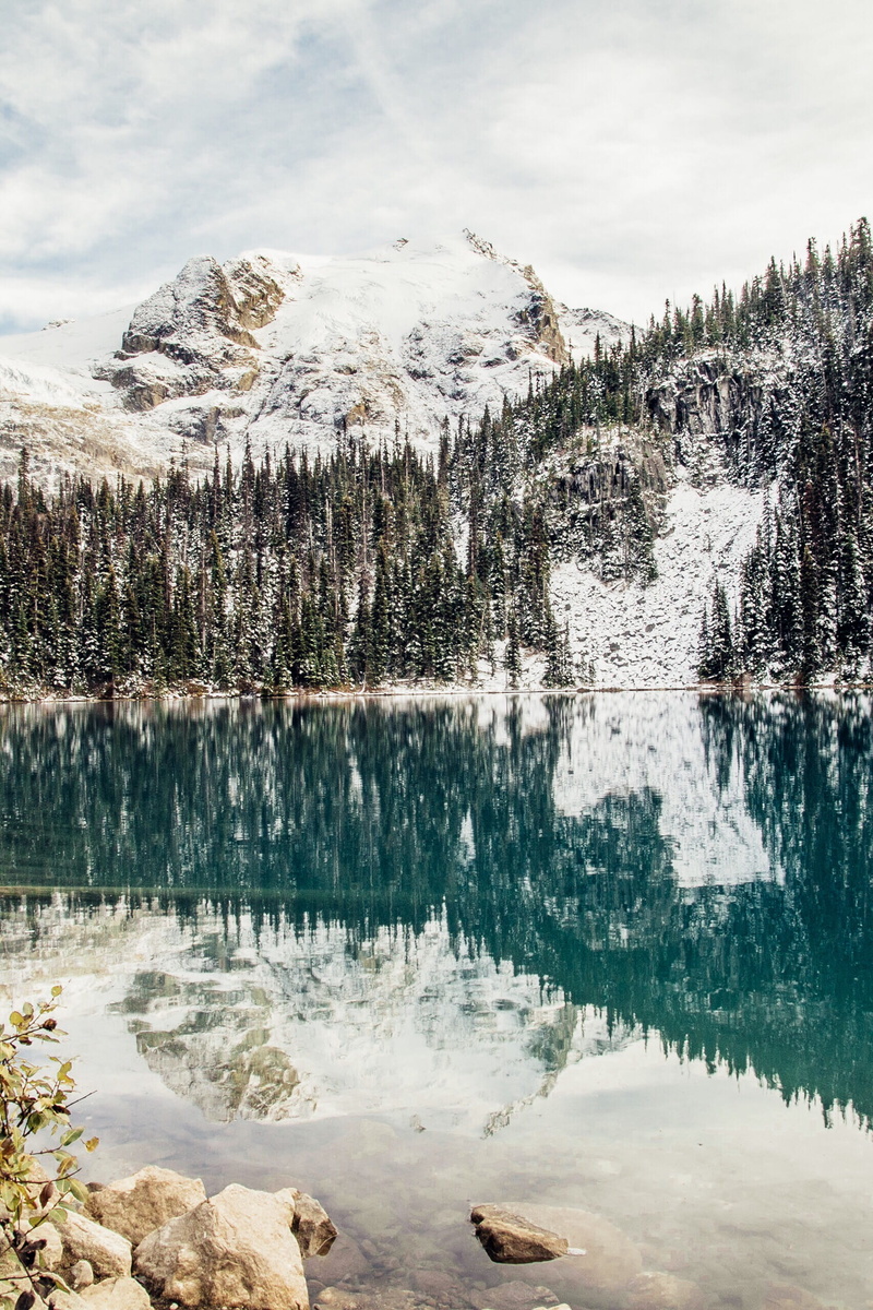 woodland, trees, cold temperature, outdoors, shore, plant, scenics - nature, forest, landscape, whistler, snowcapped mountain, rock, sky, beauty in nature